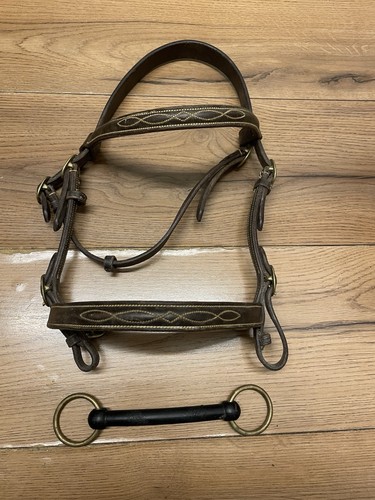 Brown pony hand - hand, showing