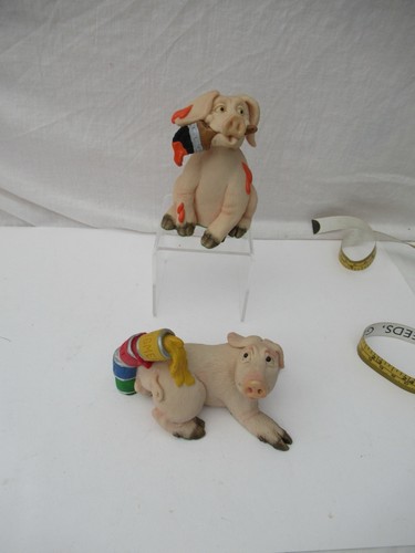 Piggin bundle vgc - piggin,