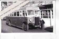 RED & WHITE - ALBION / DUPLE - CWO429 - PHOTO #REF.B19587