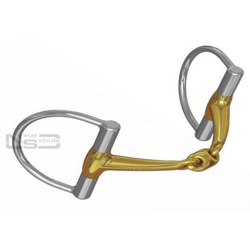 Neue schule tranz angled - schule,