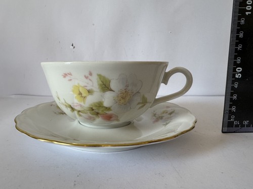 Vintage antique winterling - antique,