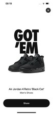 Air Jordan 4 Black Cat 2025