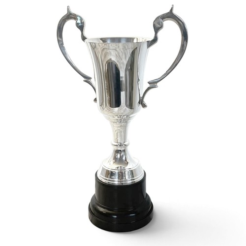 Silver trophy cup 30cm award - 30cm,