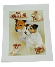 Nigel Hemming, Terriers