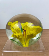 Studio Glass Paperweight – Yellow Flower Encased in Clear Dome – 7.5cm