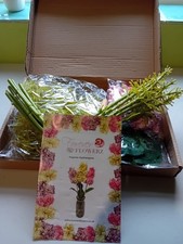 Craft Buddy Forever Flowers Hydrangeas Kit New Crafting