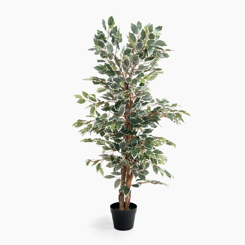 Blooming artificial damaged - blooming,