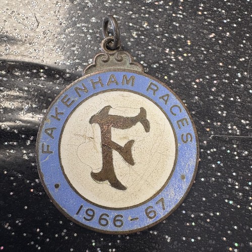 Fakenham horse racing members - horse,