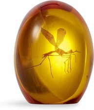 Jurassic Park Mosquito in