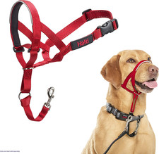 HALTI Headcollar Size 3 Red