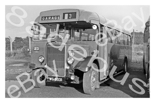 Bus photograph alexander - photograph,
