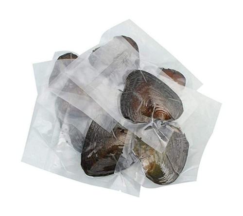 50pcs oysters natural real - 50pcs,