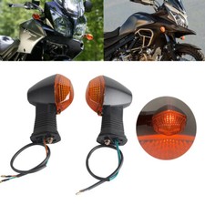 Amber Lens Rear Turn Signal