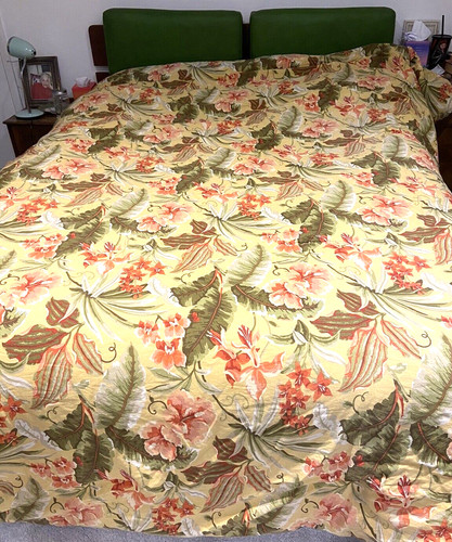 Vintage large tommy bahama - large,