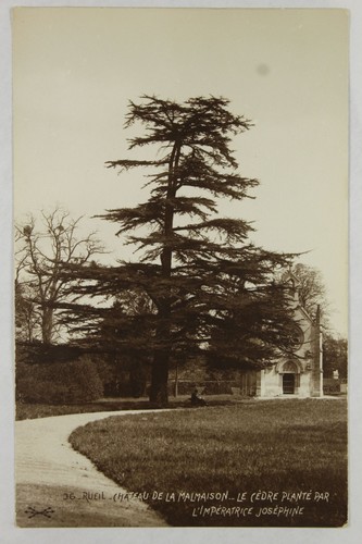 Rppc rueil france - rppc,