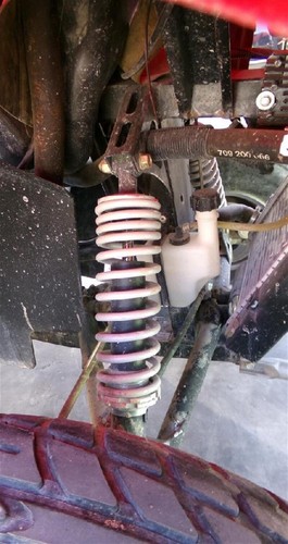 Front shock absorber - front,
