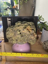 Bonsai Root Over planter (