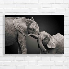 Loving Elephant with Infant