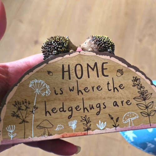 Home where the - "home,