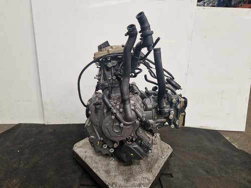 Ducati desertx 900 - engine, 2023
