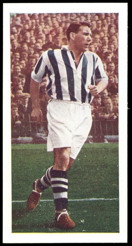 Chix famous footballers s2 - 'famous,