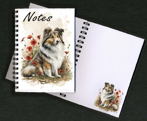 Shetland sheepdog sheltie - shetland,