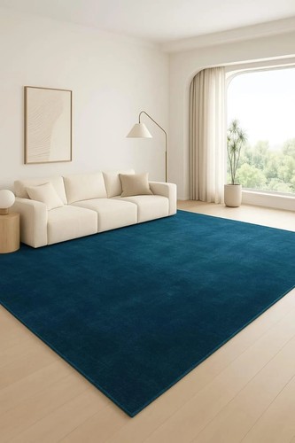 Hand tufted wool - area, rug