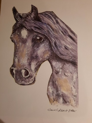 For pony lovers take on - lovers,