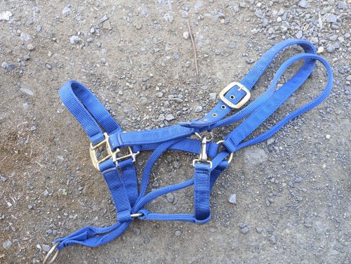 Equi web control headcollar - equi-web,