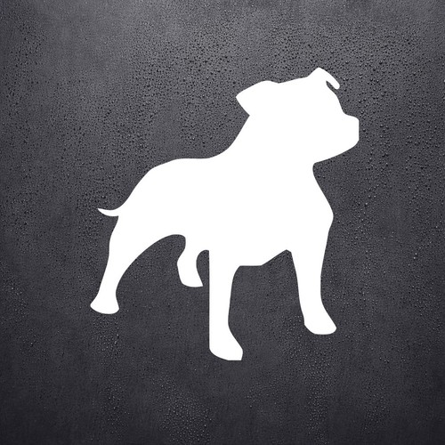 Staffy staffordshire bull - staffy,