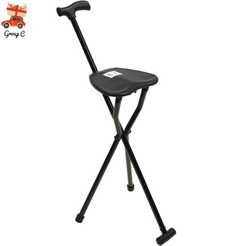 Walking stick chair - stick, seat