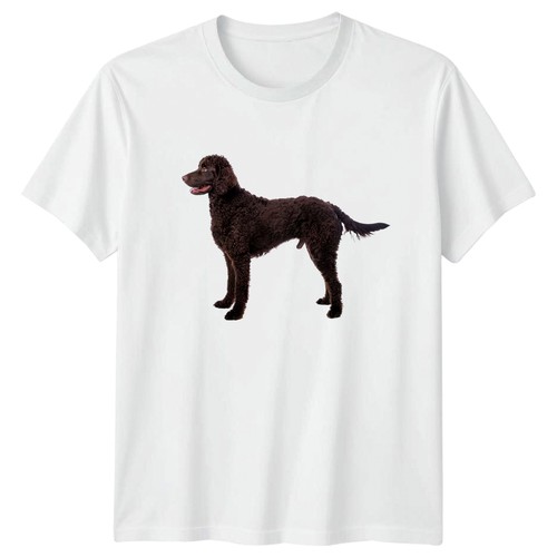 Curly coated retriever shirt - coated,