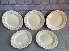 Antique Ridgway Hand Painted Bedford Ware -  Floral Dinner Plates x5 23-25cm