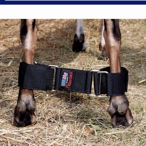 Weaver livestock adjustable - livestock,