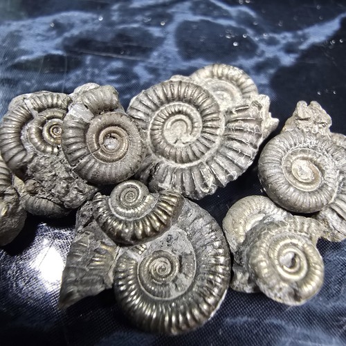 Stunning pyrite - 5,