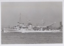 Vintage 1949 USS Petrel ASR 14