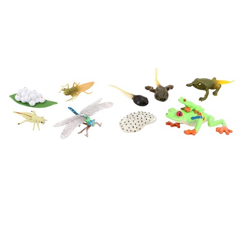 Life cycle figurines dragonfly - figurines,