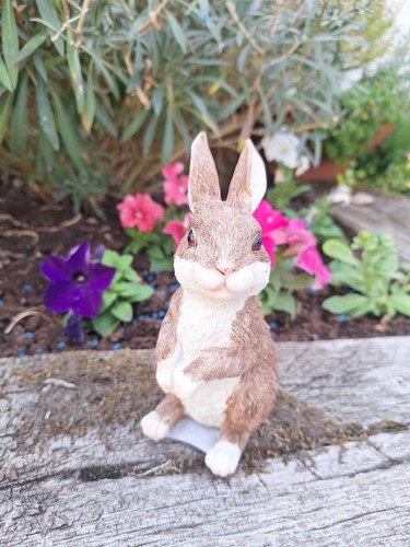 Rabbit ornament 16cm resin - rabbit,