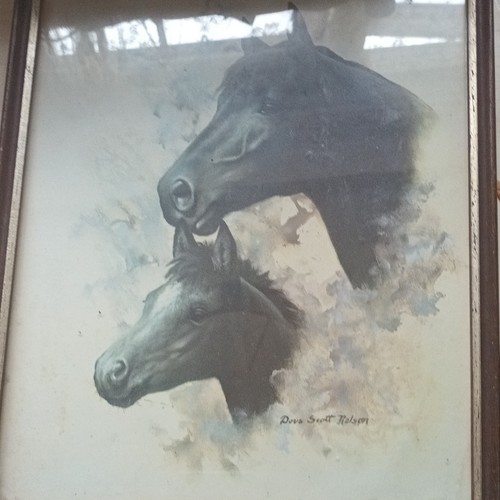 Don scott nelson signed framed - scott,