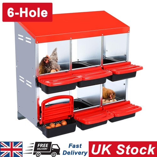Chicken nesting boxes - chicken,