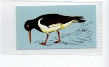 (Jd4245) TETLEY,BRITISH