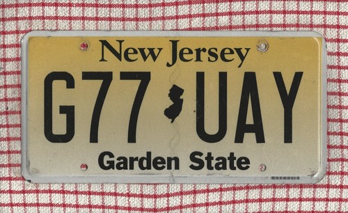 New jersey american - new,