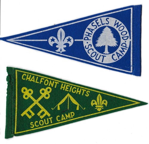 Phasels wood and chalfont - wood,