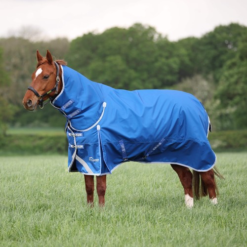 Shires highlander original - highlander,