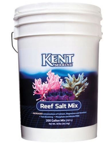 Kent marine reef sea - salt,