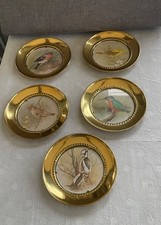 Bird Plates x 5 In Brass Frames