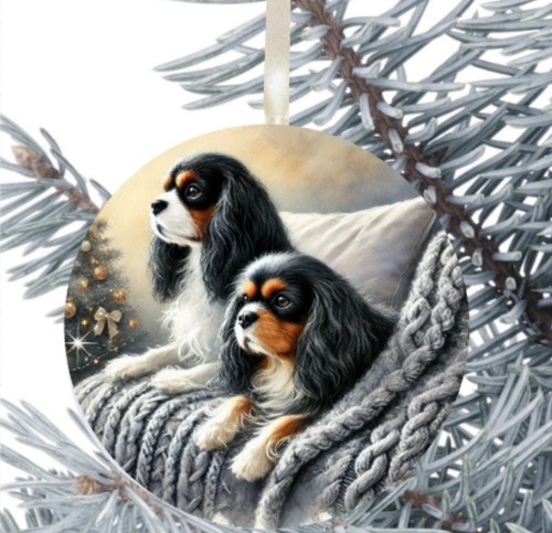 King charles cavalier spaniel - king,