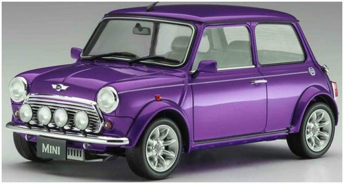 Hasegawa 24th scale mini - scale,