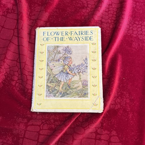 Flower fairies the wayside - of,