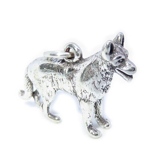 German shepherd dog sterling - shepherd,